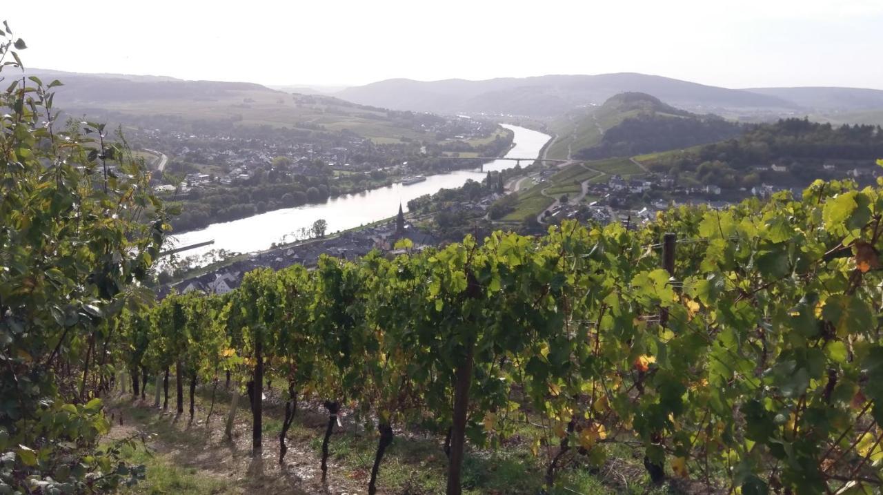 Fewo Sonnenlay - Apartments An Der Mosel Brauneberg Exterior photo