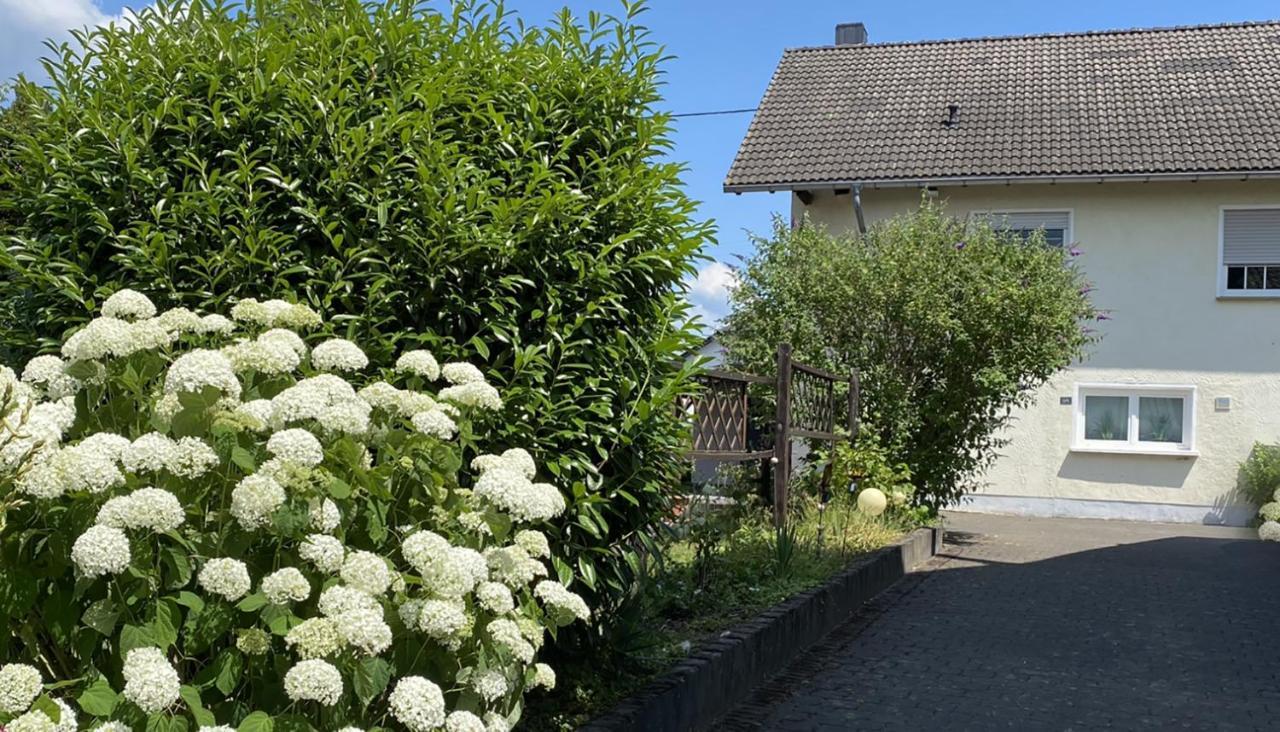 Fewo Sonnenlay - Apartments An Der Mosel Brauneberg Exterior photo